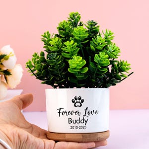 Cat Memorial Succulent Planter,Personalized Pet Memorial Loss of Cat Sympathy Gift,Custom Flower Pot,Loss of Pet Memorial Gift for Cat Mom