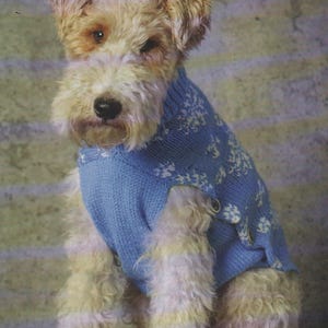 PDF Knitting pattern to knit a Dogs Snowflake jacket fits S, M, L, XL Chest 44, 54, 64, 74cm Length 28, 32, 36, 40cm DK Yarn Download!