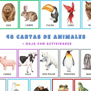 CARTAS / TARJETAS ANIMALES