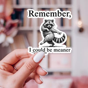 Feral Raccoon Vinyl Sticker - Remember I Could Be Meaner