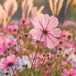 K&ouml;nnte beinhalten: Ein Stoff mit einem Druckmuster aus rosa und wei&szlig;en Kosmosbl&uuml;ten mit gr&uuml;nen Stielen und Bl&auml;ttern. Das Material weist eine sichtbare Webstruktur auf und zeigt ein Feld mit bl&uuml;henden Blumen in verschiedenen Wachstumsstadien.