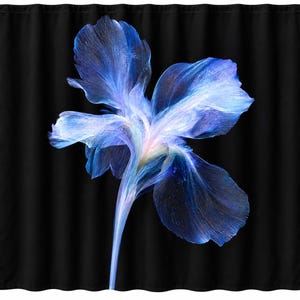 K&ouml;nnte beinhalten: Ein Duschvorhang mit einer gro&szlig;en, leuchtend blauen Irisbl&uuml;te, die vor einem einfarbigen schwarzen Hintergrund zentriert ist. Die Bl&uuml;tenbl&auml;tter zeigen durchscheinende, &auml;therische T&ouml;ne von tiefem Indigo, hellem Azur und sanftem Wei&szlig;.
