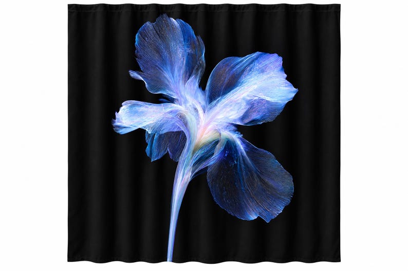 K&ouml;nnte beinhalten: Ein Duschvorhang mit einer gro&szlig;en, leuchtend blauen Irisbl&uuml;te, die vor einem einfarbigen schwarzen Hintergrund zentriert ist. Die Bl&uuml;tenbl&auml;tter zeigen durchscheinende, &auml;therische T&ouml;ne von tiefem Indigo, hellem Azur und sanftem Wei&szlig;.