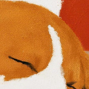 Close-up of the shower curtain's painted art: the beagle's closed eye and tan-and-white face against a red background.