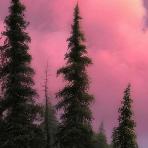 Close-up of the printed design on the beach towel: dark pine trees and a bare dead tree standing against glowing pink clouds.