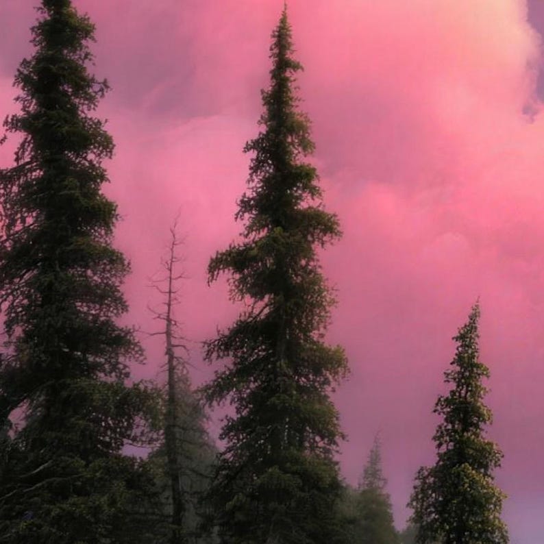 Close-up of the printed design on the beach towel: dark pine trees and a bare dead tree standing against glowing pink clouds.