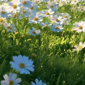 Close-up of the printed design on the bath mat: white and pale blue daisies with yellow centers among tall green grass, with one large pale blue daisy near the bottom.