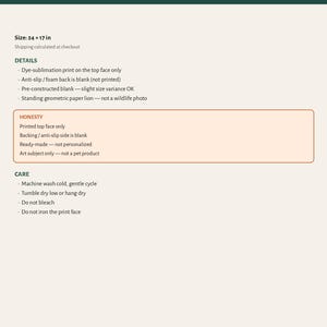 May include: A LION Bath Mat product information sheet featuring the text LION Bath Mat, Size: 61 x 43 cm, and sections for DETAILS, HONESTY, and CARE. The document outlines dye-sublimation print, anti-slip foam backing, and washing instructions.
