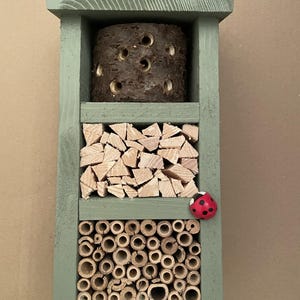 Könnte beinhalten: Ein grünes Insektenhotel aus Holz mit drei Fächern. Der obere Bereich hat ein zylindrisches Holzstück mit Löchern. Der mittlere Bereich hat kleine Holzstücke. Der untere Bereich hat Bambusröhren. Ein roter Marienkäfer befindet sich auf der rechten Seite.