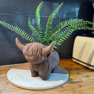 May include: A brown hairy Highland Cow planter with a green fern plant growing inside. The planter is sitting on a white and brown round base.