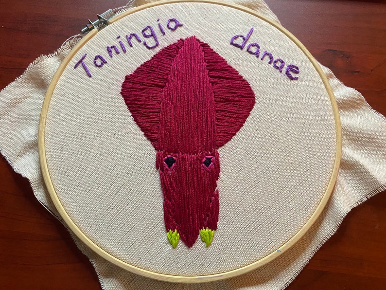 Taningia Danae squid embroidery