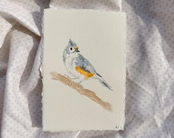 Uccello ad acquerello — Cincia dal ciuffo