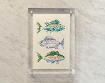 Dipinto di pesce ad acquerello in cornice acrilica