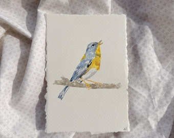 Uccello ad acquerello — Parula settentrionale
