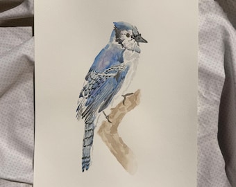 Uccello ad acquerello - Ghiandaia azzurra grande (28x35 cm)