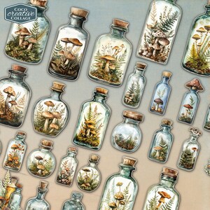 Woodland Craft Supplies: A vibrant assortment of fussy cuts showcasing mushrooms and plants in glass bottles, perfect for crafters and junk journal enthusiasts looking for unique embellishments.