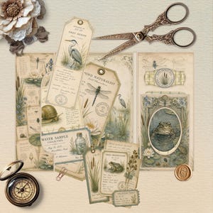 May include: A collection of vintage-style paper ephemera featuring botanical and zoological illustrations of a grey heron, dragonfly, snail, and frog. Includes ornate metal scissors, a brass compass, a wax seal, and paper floral embellishments.