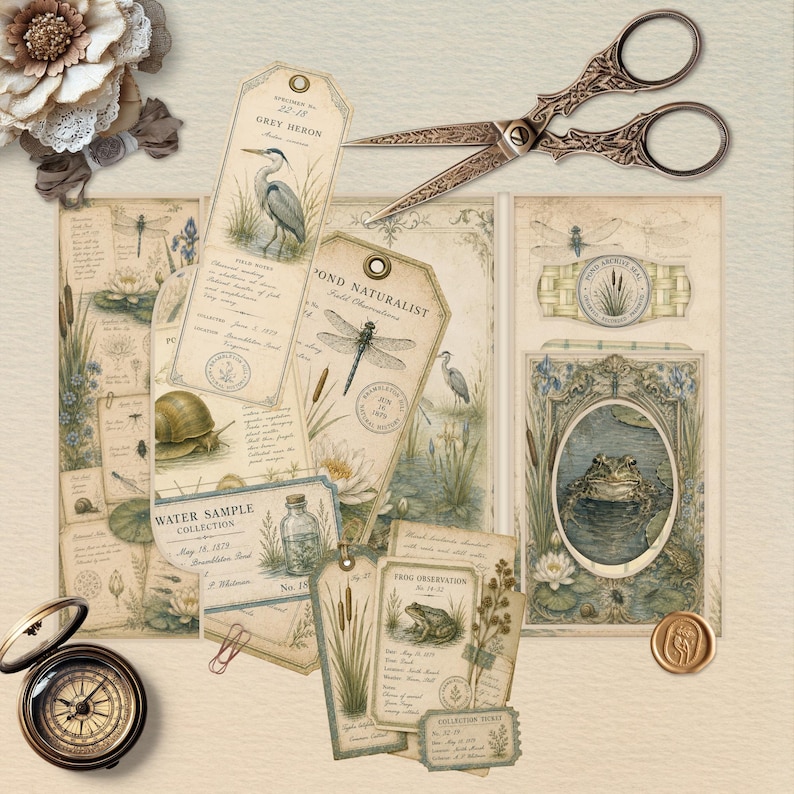 May include: A collection of vintage-style paper ephemera featuring botanical and zoological illustrations of a grey heron, dragonfly, snail, and frog. Includes ornate metal scissors, a brass compass, a wax seal, and paper floral embellishments.