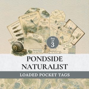 May include: A set of three vintage-style paper tags featuring illustrations of aquatic species, dragonflies, and tadpoles. The tags include text such as Aquatic Species Inventory, Marshland Survey, and Frog Spawn Registry, with a snail graphic.