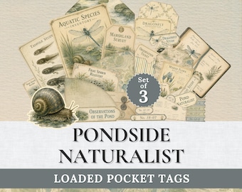 Printable Pondside Naturalist Loaded Pocket Tag Kit | Natural History Ephemera | Dragonfly, Water Lily & Botanical Junk Journal Tags