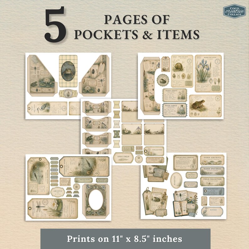 May include: Five pages of printable paper pockets and ephemera items featuring vintage-style botanical and pond life illustrations. The collection includes tags, labels, and pockets with text, printed on 11 by 8.5 inch sheets for crafting projects.