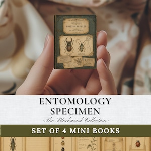 Victorian Entomology Mini Books | Printable Natural History Dollhouse | Insect Specimen Miniature Journal | DIY Digital Ephemera