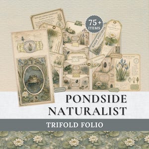 May include: A trifold folio titled Pondside Naturalist featuring 75+ items including vintage-style paper tags, cards, and labels with illustrations of frogs, water lilies, dragonflies, and insects in muted green, beige, and brown tones.