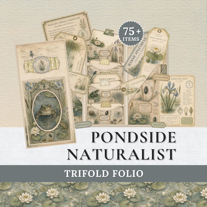 May include: A trifold folio titled Pondside Naturalist featuring 75+ items including vintage-style paper tags, cards, and labels with illustrations of frogs, water lilies, dragonflies, and insects in muted green, beige, and brown tones.