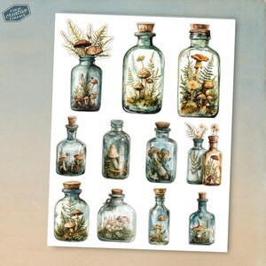 Apothecary Art: Vintage-inspired fussy cuts of mushrooms and woodland elements in decorative bottles, perfect for adding a whimsical touch to your crafting projects.