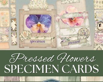 Junk Journal Pressed Flower Specimen Cards, Summer Floral Ephemera, Botanical Digital Printable, Slides with Windows, Garden Vintage Pages