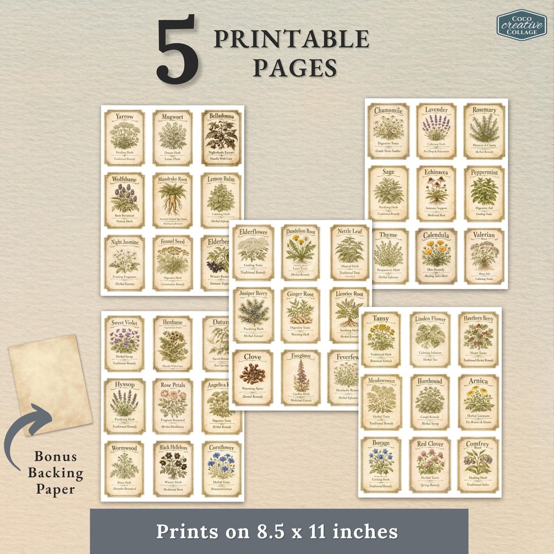 Victorian Toothpaste Label Apothecary Labels Printable | 45 Victorian Botanical Herbal Labels ...