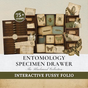 Op de afbeelding: Een verzameling van 75+ papieren items met vintage-stijl illustraties van insecten, spinnen en botanische specimens, inclusief kleine kaarten, labels en een houten lade-organizer met de tekst ENTOMOLOGY SPECIMEN DRAWER.