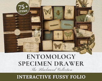 Entomology Specimen Drawer Folio | Interactive Fussy Cut Junk Journal Kit | Victorian Natural History Ephemera | Dark Academia Printable