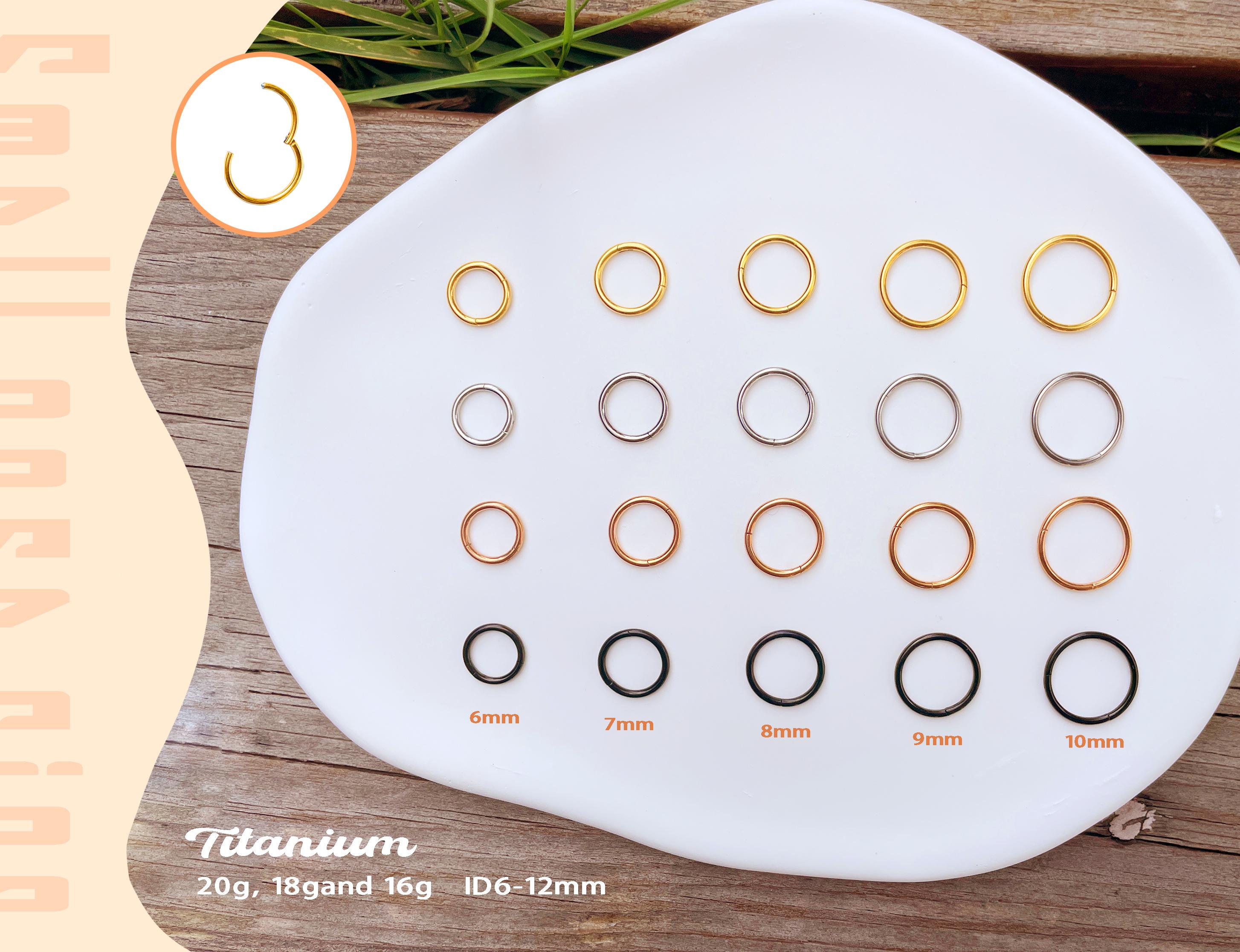 20G/18G/16G Titanium Hinged Segment Nose Ring, Nose Hoop, Hoop Earring, Seamless Hinged Clicker Hoop, Septum Ring, Cartilage Hoop,Daith Hoop