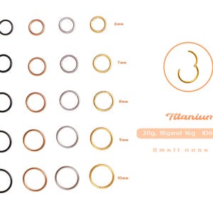 Nose Ring Clicker, Implant Grade Titanium Hinge Segment Nose Ring, Nose Piercing, Nose jewelry, Surgical Steel or Titanium, 20G 18G 16G