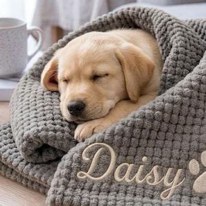 May include: A light-coloured puppy sleeping soundly on a folded grey waffle-textured blanket. The blanket features the embroidered name Daisy in a cursive script font, accompanied by a stitched paw print design in a light beige thread colour.