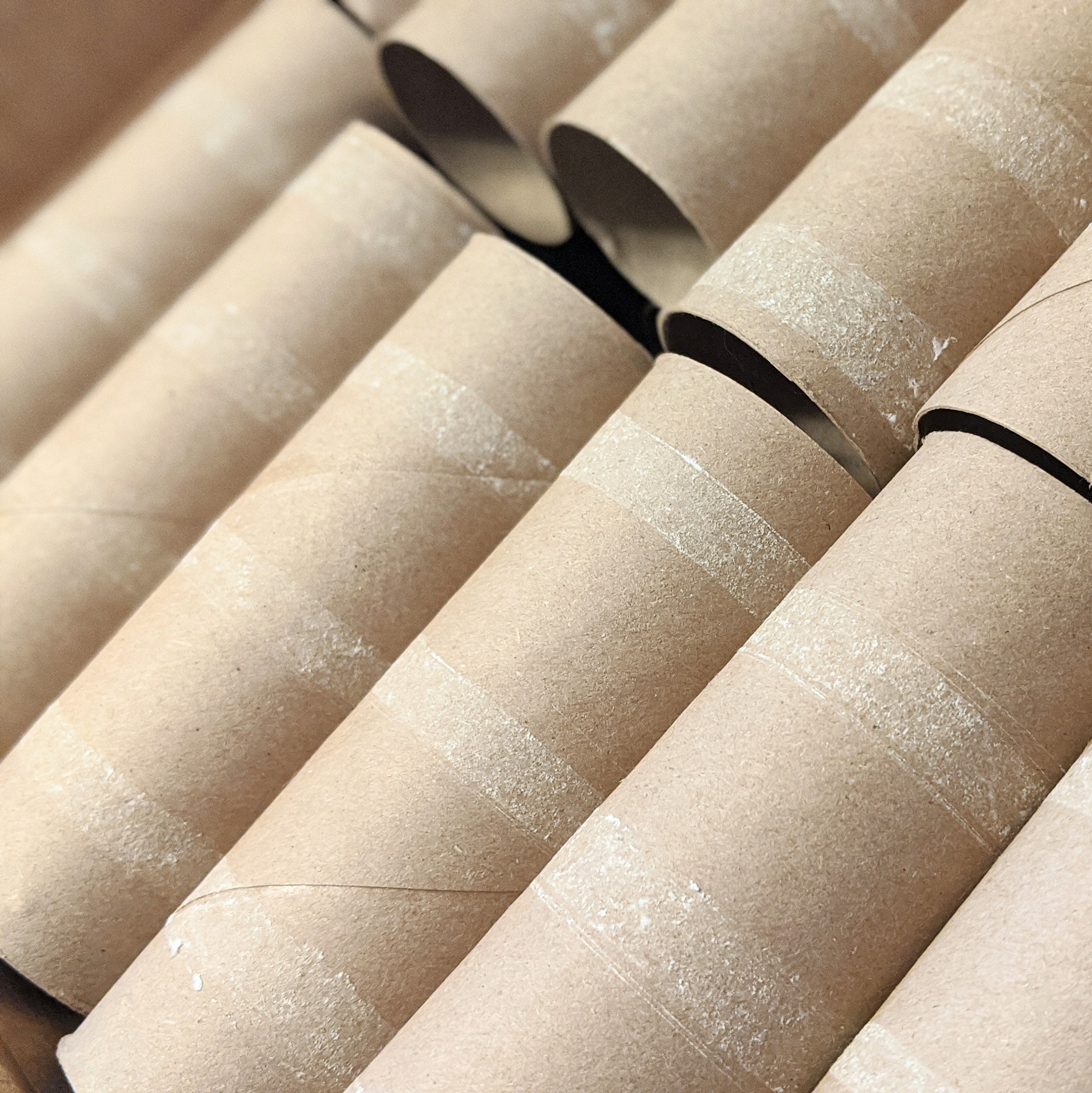 Toilet paper rolls perfect for cardboard crafts upcycling and Etsy