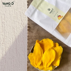 Dried Mango -  no additives or preservatives or sugar added. Xoài sấy dẻo tự nhiên 250G