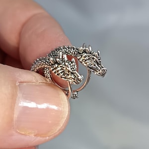 Può includere: Un anello color argento con due teste di drago contrapposte. L'anello presenta squame e lineamenti del viso dettagliati. L'anello è tenuto tra le dita su uno sfondo sfocato. Il design è intricato e dettagliato.