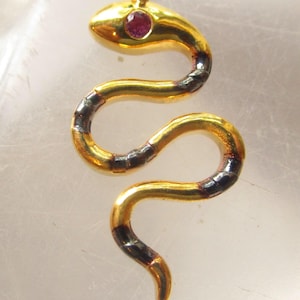 May include: A gold-colored snake pendant with a ruby eye. The snake's body has black accents and is coiled. The pendant has a loop at the top for a chain. The text "Close Up Photo" is at the bottom.