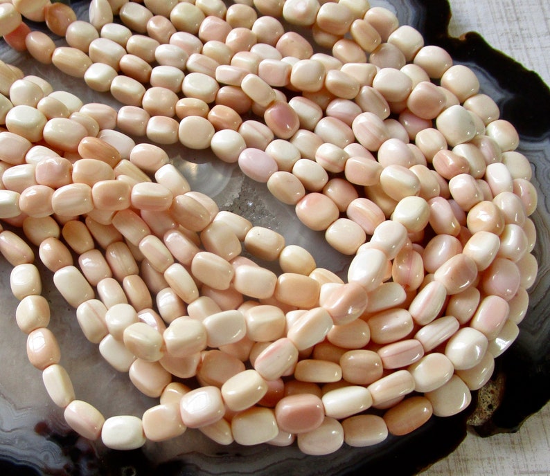 Natural Pink Queen Conch Shell Gemstone Barrel Beads 1 Strand SALE Natural Pink Conch Shell Nugget Beads 8mm