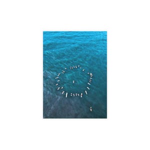 Paquetes de postales de Folly Beach (sobres incluidos)