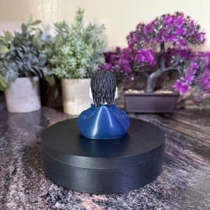 Myers Duck Hand Painted 3D Printed Pla Acrylic Water proof image 3