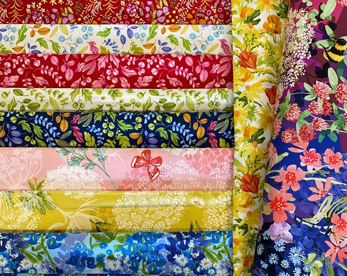 Wild Blossoms by Robin Pickens for Moda, fabric bundle - 11 remnant pieces + 1/2-yard Ombre