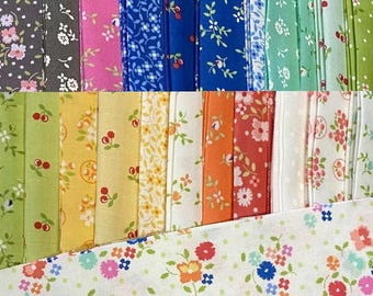 Cali Co by Corey Yoder for Moda Fabrics - 23 pieces