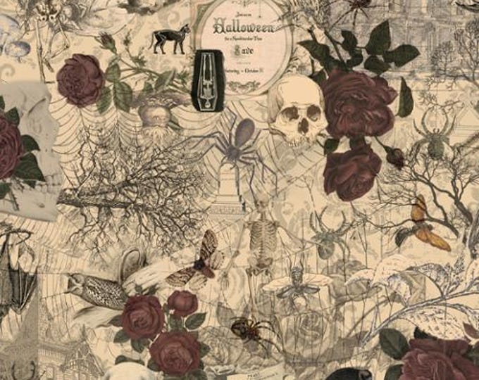 Halloween Fabric 3 Sisters For Moda,