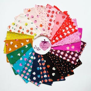 Strawberry by Kimberly Kight Ruby Star Society for Moda Fabrics - fabric bundle 20  pieces