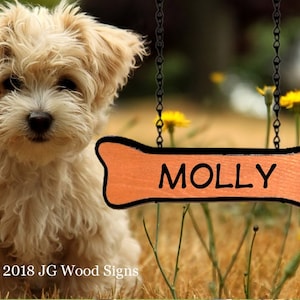 Camper Pet Name Sign Etsy Dog bone Addon Personalized Name Camping Addon Dog bone Design Wood Sign  JGWoodSigns - RV Wood Sign Molly