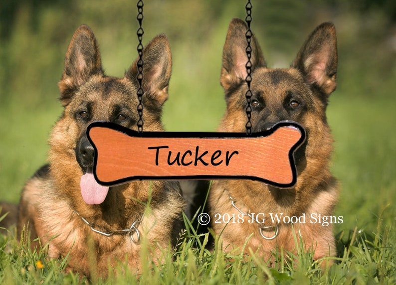 Outdoor Personalized Pet Wooden Dog Name Dogbone Addon Dog bone with Pawprints JG Wood Signs Etsy Carved Camping Sign Callie image 7