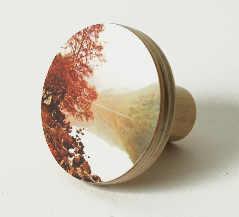 May include: A round wooden knob with a nature scene printed on the front. The scene features a tree with red leaves and a lake in the background.